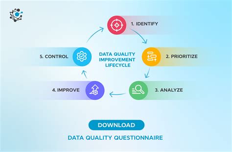 Journey to Data Quality PDF