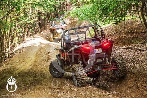 Journey to Off-Road Adventure: Exploring the Marketplace for UTVs for Sale