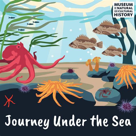 Journey under the Sea Reader