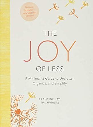 Joy Less Minimalist Declutter Organize Doc