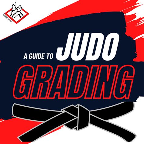 Judo Denver CO: A Comprehensive Guide to the Best Gyms and Classes
