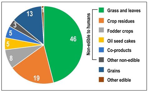 Julia Danava: A Comprehensive Guide to Its Impact on Human Health, Agriculture, and the Environment