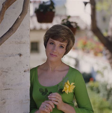 Julie Andrews: A Life in the Limelight