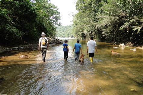 Jungle Confidence Course Singapore: Unleashing Your Inner Adventure