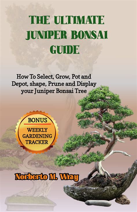 Juniper Bonsai Fertilizer: The Ultimate Guide to Nourishing Your Miniature Tree