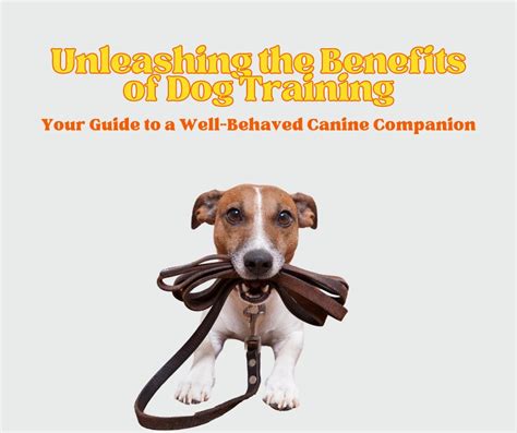 Jupiterstaraj: Unleashing the Science of Dog Training for Enhanced Pet Ownership