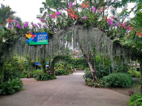 Jurong Bird Park Singapore Opening Hours: Fly High with 7 Timeless Hours