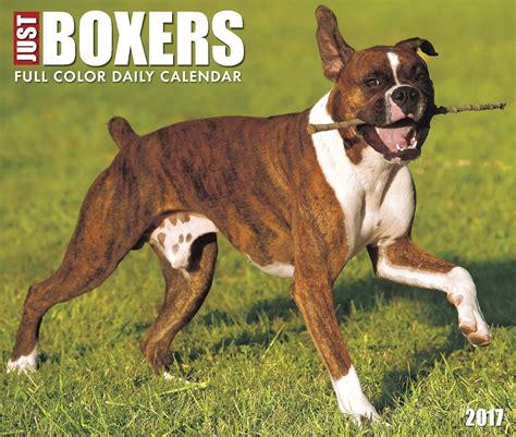 Just Boxers Calendar Breed Calendars Reader