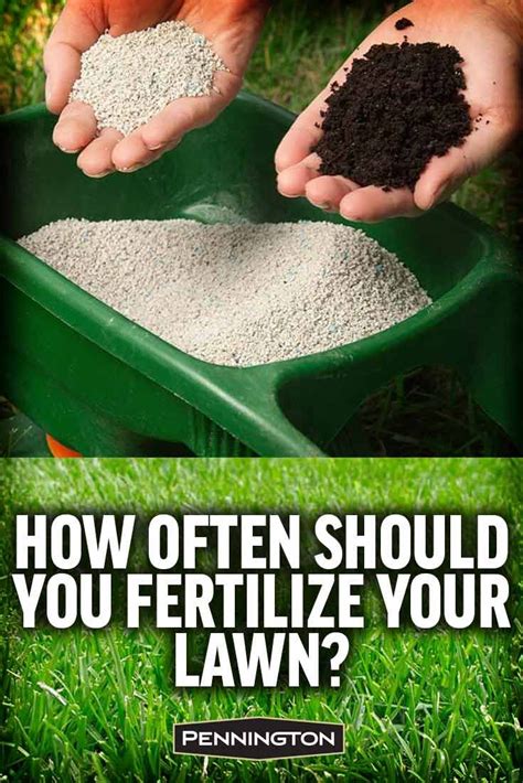 Just Fertilized Grass: A Comprehensive Guide to Its Care