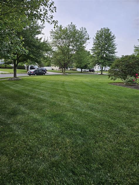 Just Fertilized Grass: The Greenest 7 Days