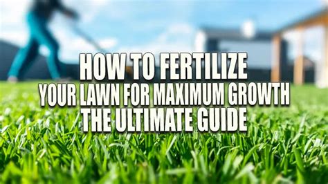 Just Fertilized Grass: The Ultimate Guide to a Healthy, Lush Lawn