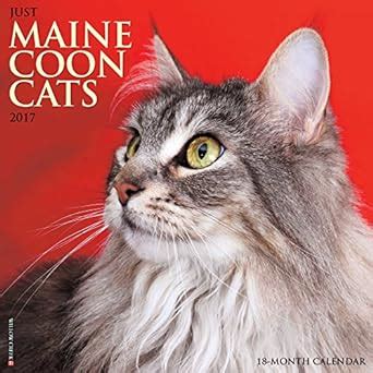 Just Maine Calendar Breed Calendars Doc