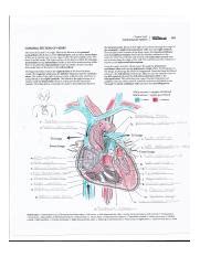 KAPLAN MEDICAL CARDIOVASCULAR SYSTEM COLOR SHEET Ebook Reader