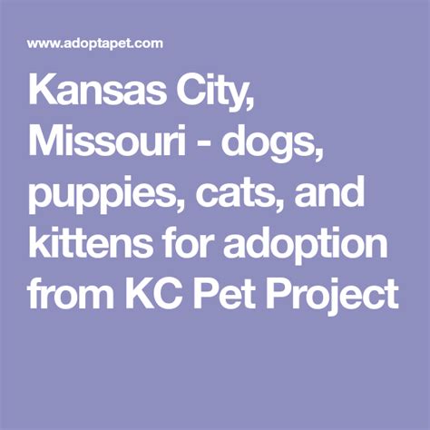 KC Pet Project: Your Guide to Dog Adoption in Kansas City, Missouri