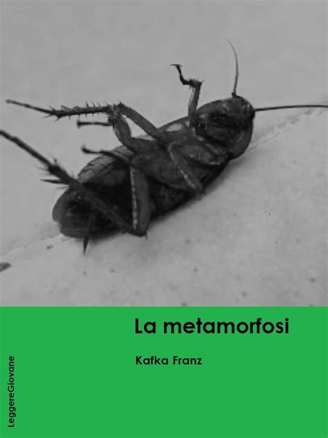 Kafka La metamorfosi LeggereGiovane Italian Edition Epub