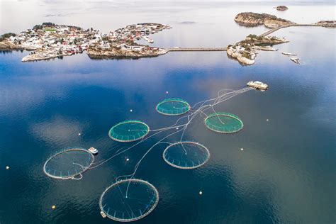 Kaitai Chang Yala: A Game-Changer for Aquaculture