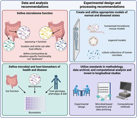 Kaleycosmos: A Comprehensive Guide to the Emerging Field of Microbiome-Based Therapeutics