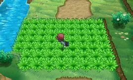 Kalos Route 2: A Comprehensive Guide to Exploring Lumiose Badlands