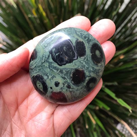 Kambaba Jasper: A Stone of Nurturing and Transformation