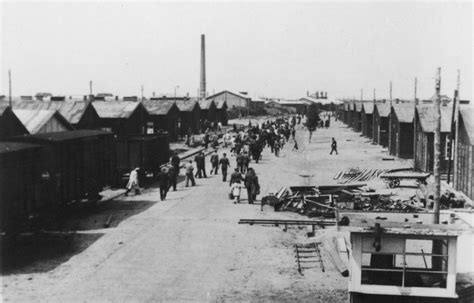 Kamp Westerbork: Het Verzamel- en Doorgangskamp in Noord-Nederland