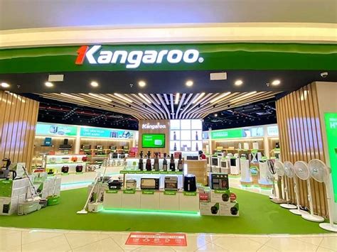 Kangaroo Limited：如何利用獨特優勢，躍升全球市場