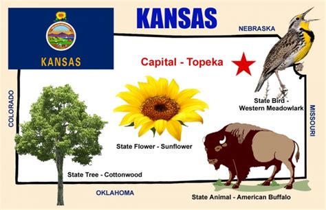Kansas Symbols Projects 30 Cool Activities Crafts Experiments and More for Kids to Do to Learn About Your State 3 Kansas Experience Doc