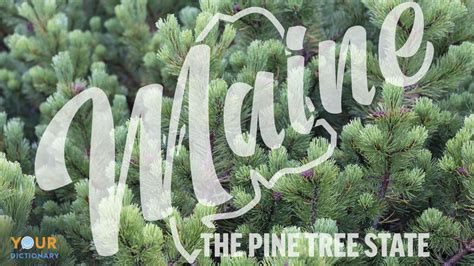 Kaplan University Maine: Your Gateway to Higher Education in the Pine Tree State