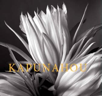 Kapunahou In Celebration of the One Hundred Seventy-Fifth Anniversary of the 1841 Founding of Punahou School PDF