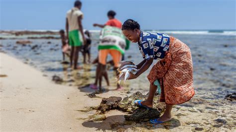 Kariya Matou: A Path to Sustainable Aquaculture and Food Security