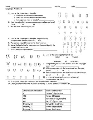 Karyotyping Activity Answer Key Doc