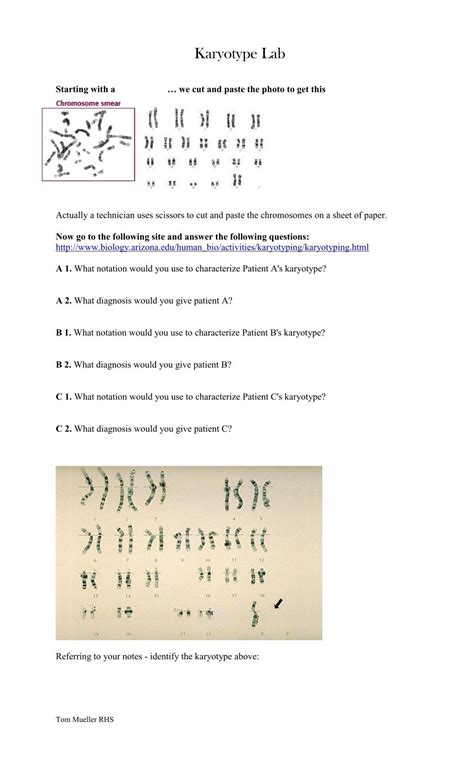 Karyotyping Activity Arizona Answers Epub