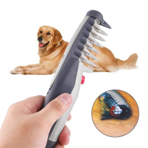 Katkin 2025: The Ultimate Tool for Pet Groomers