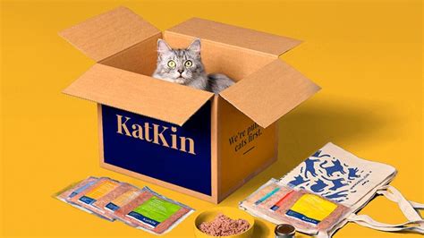 Katkin cat pest control