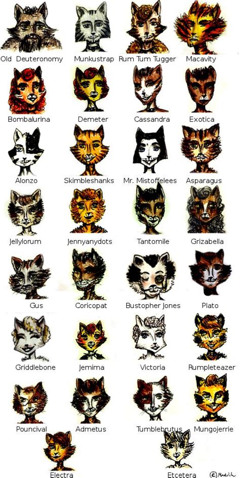 Katt: A Comprehensive Guide to the Melodious Feline