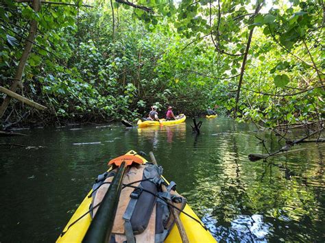 Kayak the Wailua River for an Unforgettable Kauai Adventure!