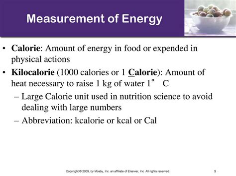 Kcalorie: The Essential Guide to Measuring Energy Intake