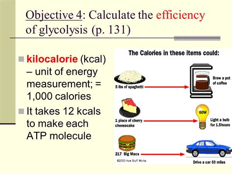 Kcals to Calories: A Comprehensive Guide to Energy Measurement