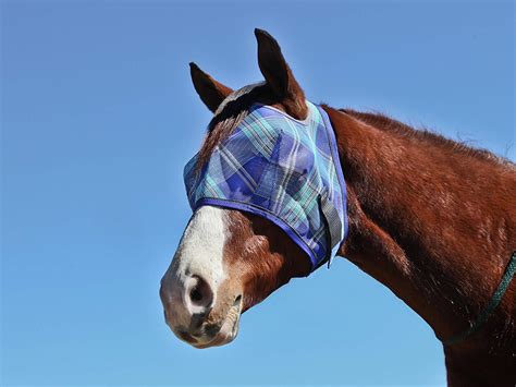 Keep Flies Off Your Horse's Nose with a Nose Fly Mask