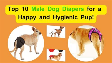 Keep Your Male Dog Comfortable and Hygienic with Our Premium Diapers