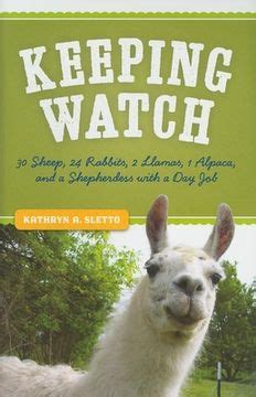 Keeping Watch: 30 Sheep Doc