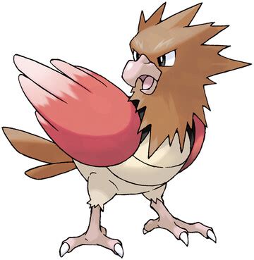 Kenya the Spearow: A Comprehensive Guide to the Flying Pokémon