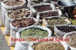 Kerala: The Land of Spice, Culture, and...