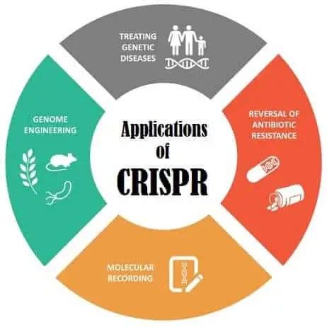 Key Applications: