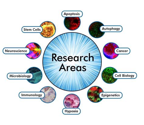 Key Areas of Research