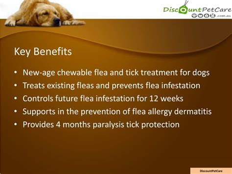 Key Benefits of Bravecto Flea Treatment