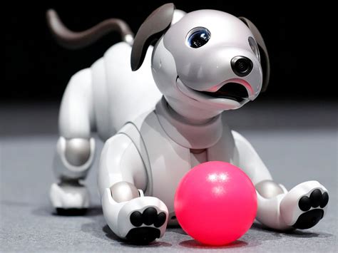 Key Benefits of Robotic Dogs: