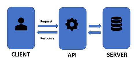 Key Components of an Echo API Response