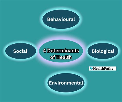 Key Determinants of an Adequate Dating Pool