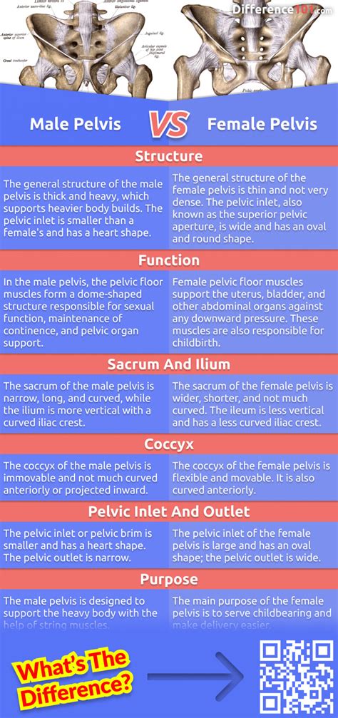 Key Differences Between Male and Female Venom