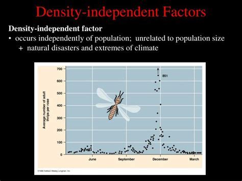 Key Drivers of Population Growth